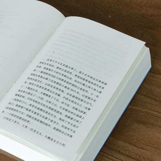 【杨潇签名本】《另一个国度：在20世纪废墟上的漫游》，32开，平装，杨潇著，理想国出品，民主与建设出版社2026年一版一印，624页，定价88，售价80元。 商品图7