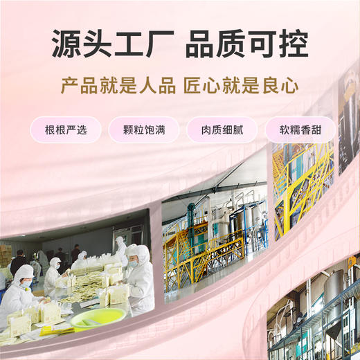 *山西特产雁门清高三色藜麦米礼盒1680g粗粮白红黑黎麦米五谷杂粮 商品图2