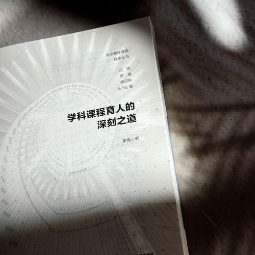 学科课程育人的深刻之道 道德与法治课程 思政育人 中小学案例 商品图5