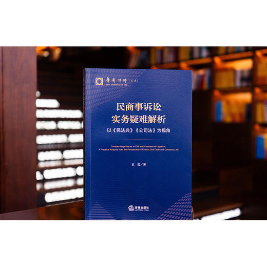民商事诉讼实务疑难解析：以《民法典》《公司法》为视角  王雷 著  法律出版社 商品图0