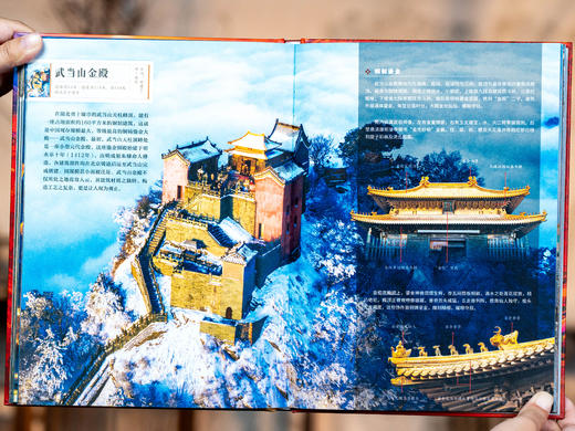 《国粹全书》10册精装高定礼盒|10大传世国粹史上超全收录|2000+高清全彩图卷一眼千年，美到癫狂|一书读懂5000年华夏文明惊艳世界的底气 商品图7