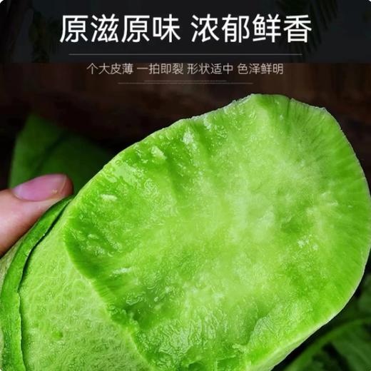 【YMHR】新鲜青萝卜 甜脆爽口 应季蔬菜 商品图2