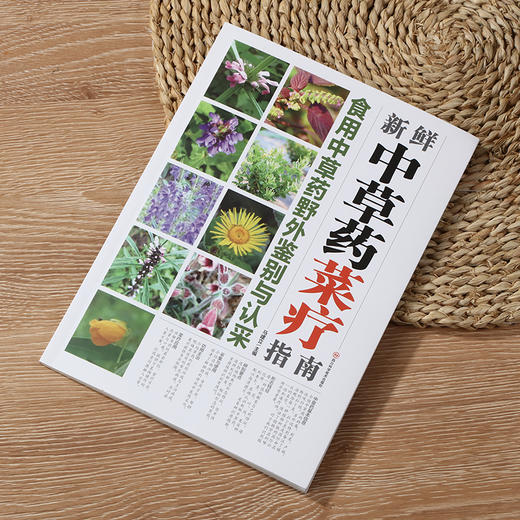 新鲜中草药菜疗指南 商品图3