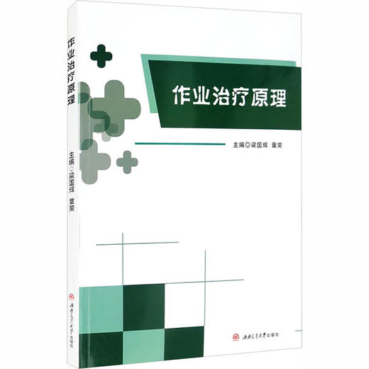 作业治疗原理 商品图2
