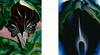 Through the Long Desert: Georgia O'Keeffe and Frank Lloyd Wright / 穿越长漠：乔治亚·欧姬芙与弗兰克·劳埃德·赖特 商品缩略图4