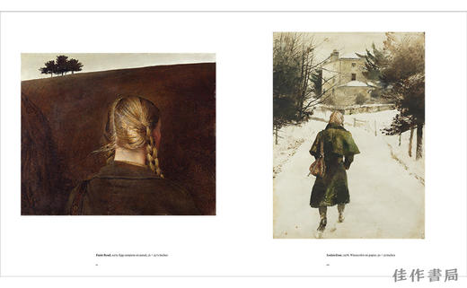 Andrew Wyeth at Kuerner Farm: The Eye of the Earth / 安德鲁·怀斯在库尔纳农场：大地之眼 商品图1