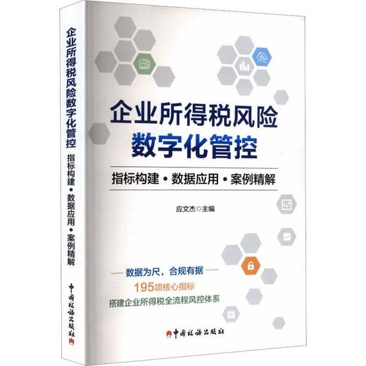 企业所得税风险数字化管控：指标构建·数据应用·案例精解 商品图0
