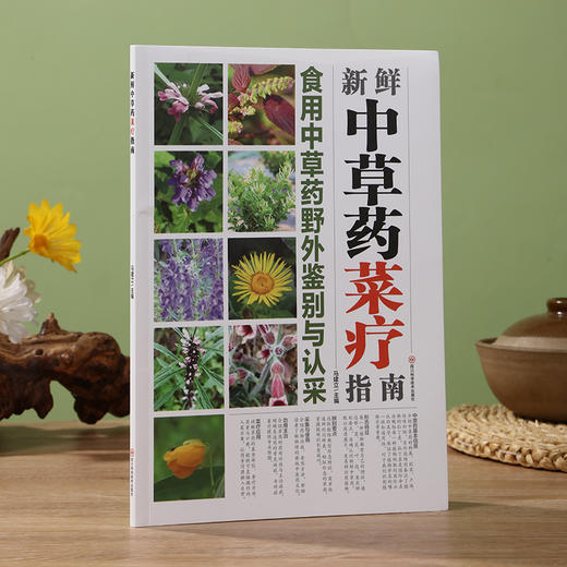 新鲜中草药菜疗指南 商品图1