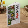 新鲜中草药菜疗指南 商品缩略图2