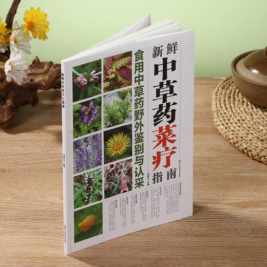 新鲜中草药菜疗指南 商品图2