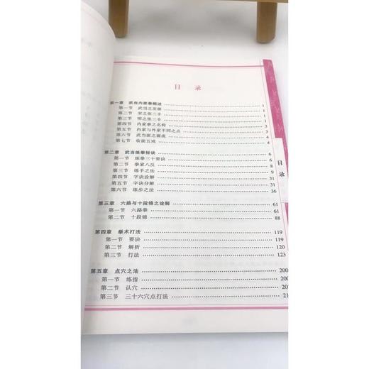 武当拳术秘诀图说武术健身气功养生入门书籍武当武术 商品图4