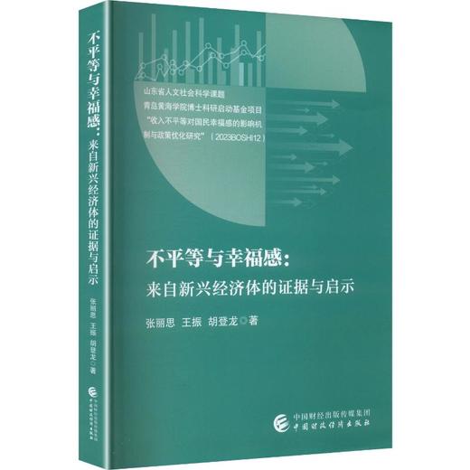 不平等与幸福感：来自新兴经济体的证据与启示 商品图0