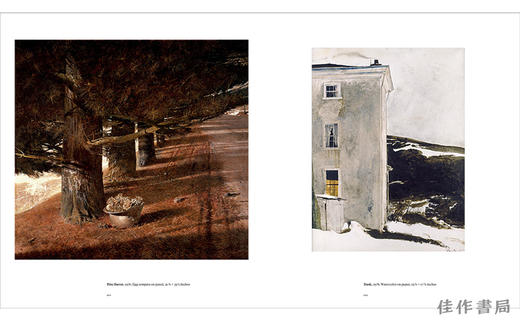 Andrew Wyeth at Kuerner Farm: The Eye of the Earth / 安德鲁·怀斯在库尔纳农场：大地之眼 商品图2