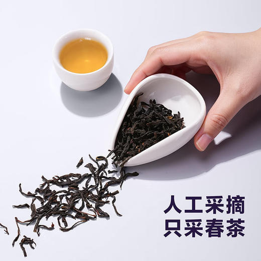 MM 山姆 八马茶业 八马单丛两大名香组合装 160g 商品图3