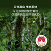 MM 山姆 沧澜古茶 古树熟普 8g*20/40包 商品缩略图4