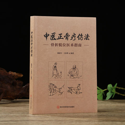 中医正骨疗伤法 商品图1