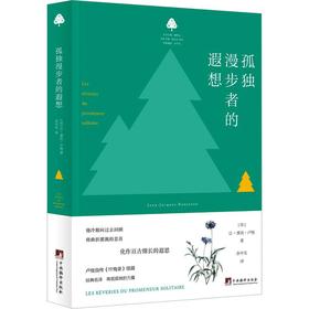 孤独漫步者的遐想