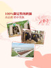 MM 山姆 优诺FOB法式分层酸奶 135g*6/12 商品缩略图4