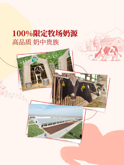 MM 山姆 优诺FOB法式分层酸奶 135g*6/12 商品图4