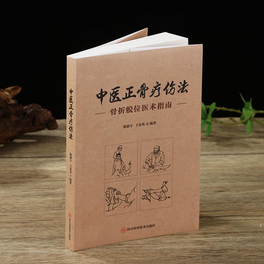 中医正骨疗伤法 商品图2