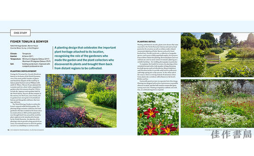 The Modern Professional Planting Designer / 现代专业种植设计师 商品图4