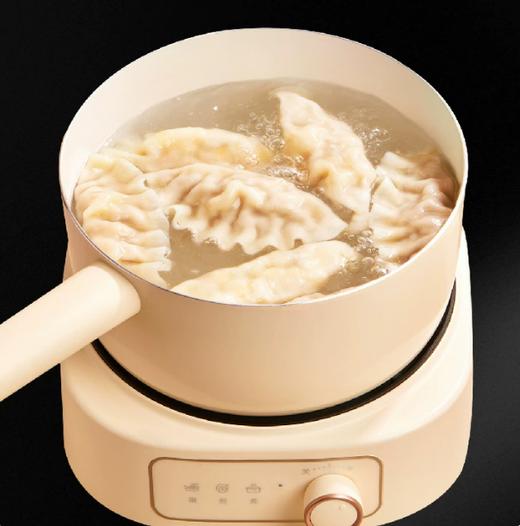 【YMHR】三全 猪肉大葱水饺 商品图1