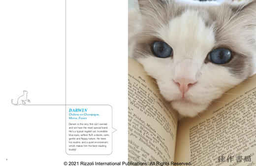 Cats & Books / 猫与书 商品图1
