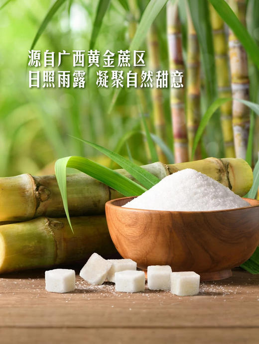 MM 山姆 Member's Mark 精制白砂糖 1.5kg 商品图4