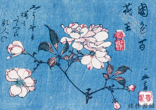 Cherry Blossoms in Bloom: Great Works of Japanese Woodblock Printing / 樱花绽放：日本木版画杰作 商品图4
