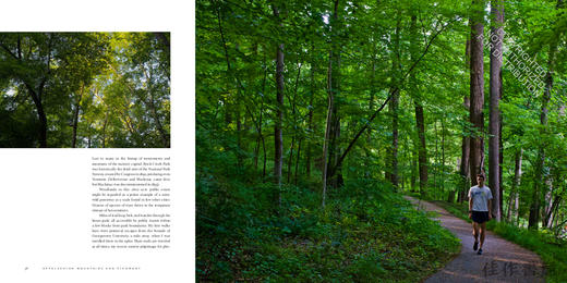 America's Great Forest Trails: 100 Woodland Hikes of a Lifetime / 美国伟大森林小径：一生必走的100条林间徒步路线 商品图3