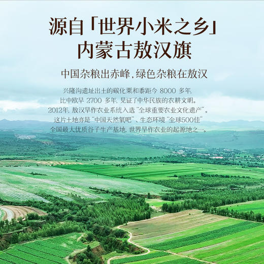 MM 山姆 柴火大院四色小米 2kg*1/2 商品图2