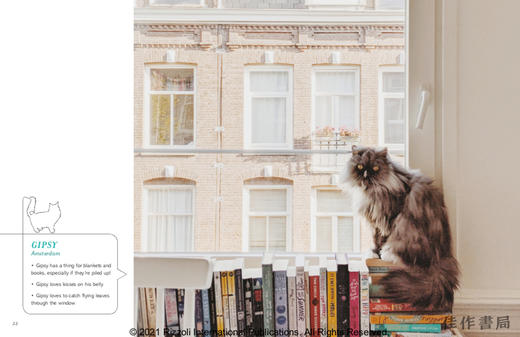 Cats & Books / 猫与书 商品图4