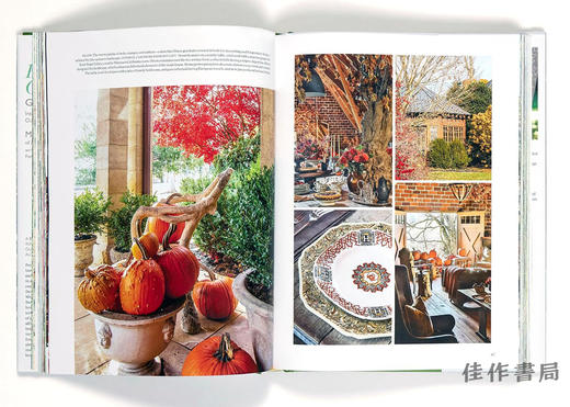 Flowering Outdoors: Gardens & Parties / 户外花境：花园与派对 商品图1