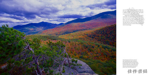 America's Great Forest Trails: 100 Woodland Hikes of a Lifetime / 美国伟大森林小径：一生必走的100条林间徒步路线 商品图2