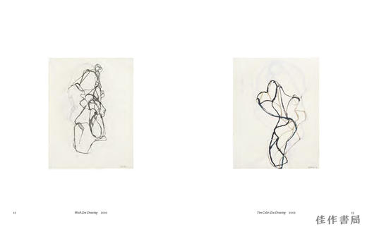 Brice Marden: Works on Paper / 布莱斯·马登：纸上作品 商品图1