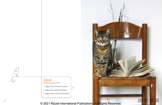 Cats & Books / 猫与书 商品图2