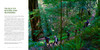 America's Great Forest Trails: 100 Woodland Hikes of a Lifetime / 美国伟大森林小径：一生必走的100条林间徒步路线 商品缩略图1