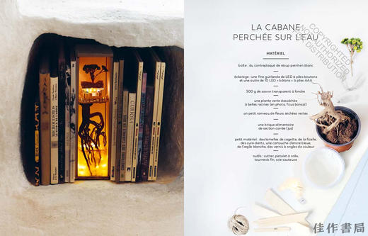 Enchanting Book Nooks: Miniature Worlds and Settings to Craft and Decorate / 迷人的书角：微型世界与手工场景 商品图2