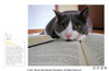 Cats & Books / 猫与书 商品缩略图3