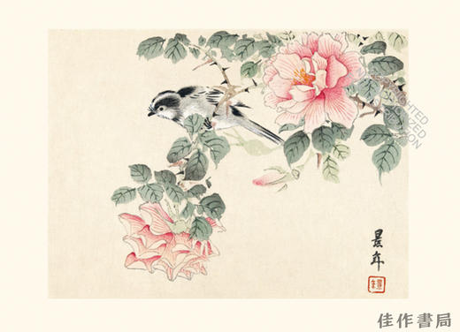 Flowers of Japan: Great Works of Japanese Woodblock Printing / 日本花卉：日本木版画杰作 商品图3