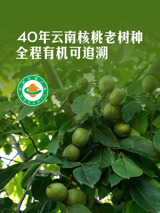 MM 山姆 Member's Mark 有机云南核桃仁 250g*2/4包 商品图2