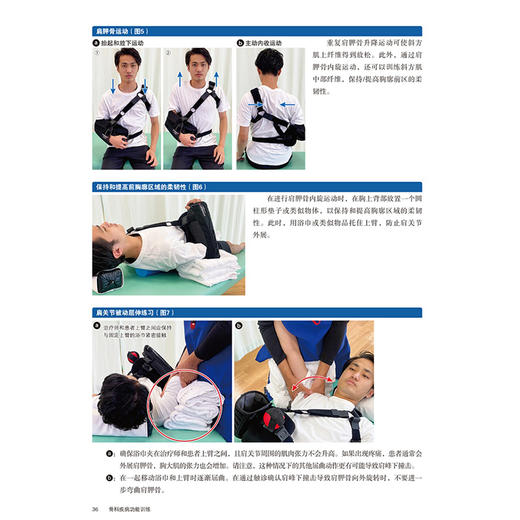 骨科疾病功能训练 陈统一 张键 主译 把握康复时点 选对训练方式 骨科术后科学康复 精准功能训练指南 辽宁科学技术出版社 商品图4