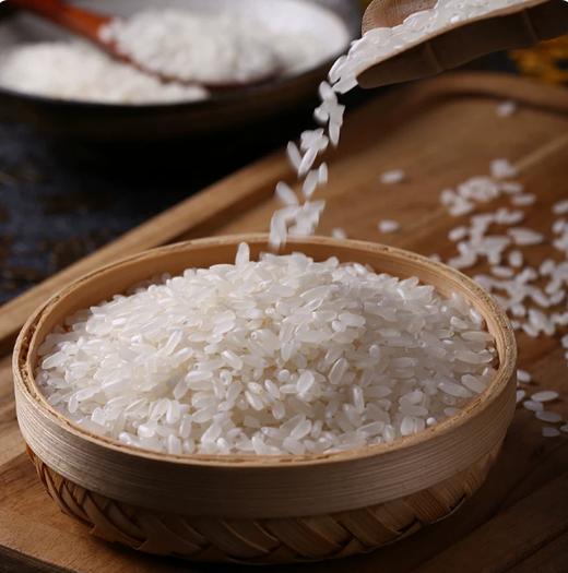 【YMHR】 孟府 五常大米5kg 商品图1