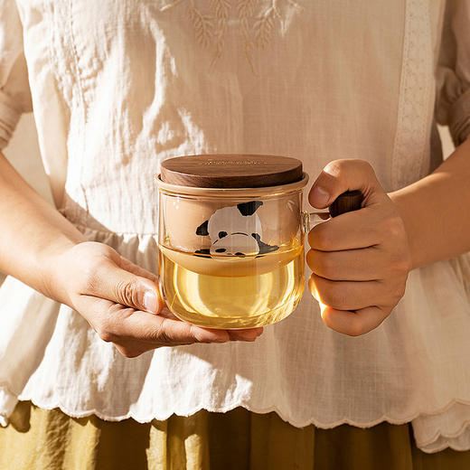 摩登主妇mototo玻璃茶杯个人专用茶水分离杯家用水杯办公室泡茶杯 商品图4