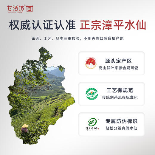 【甘活坊】2.0老枞漳平水仙纸盒100g 商品图1