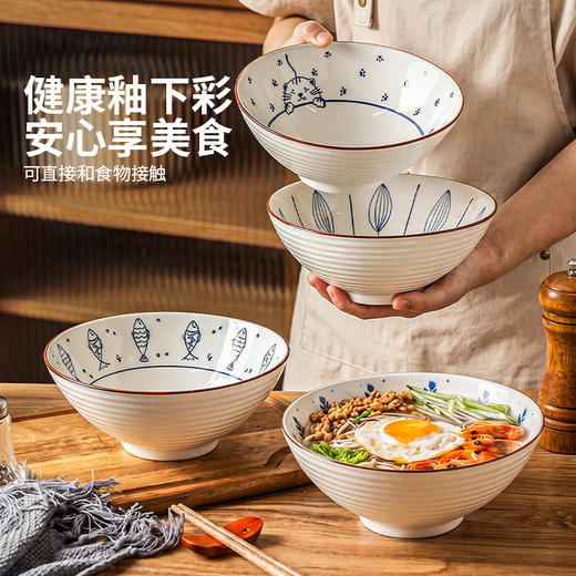 摩登主妇釉下彩日式汤面碗家用2026新款斗笠碗吃面大碗陶瓷拉面碗 商品图1