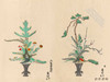 Ikebana: The Art and Beauty of Flower Arranging / 花道：插花的艺术与美 商品缩略图1
