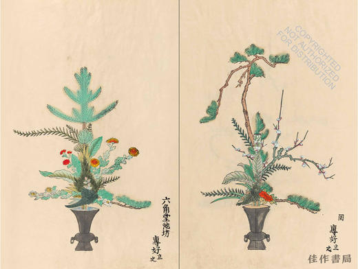 Ikebana: The Art and Beauty of Flower Arranging / 花道：插花的艺术与美 商品图1