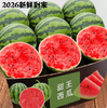 【YMHR】甜王西瓜 商品缩略图0