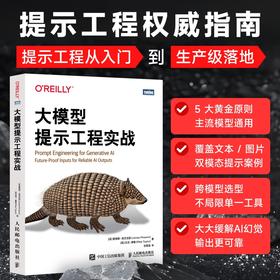 大模型提示工程实战 提示词 提示词工程 Skill 生成式AI 大模型 LLM